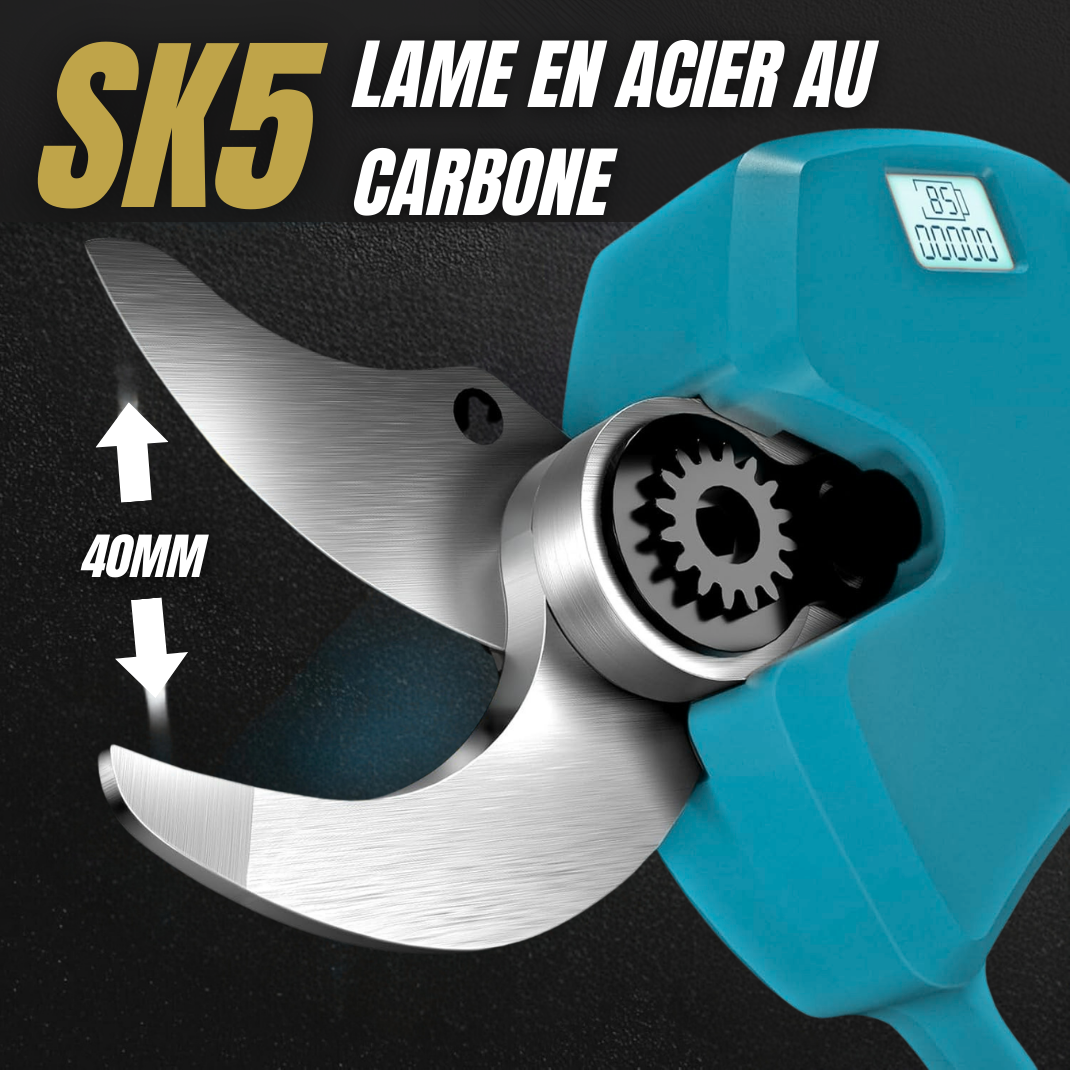 Kit de taille 360°